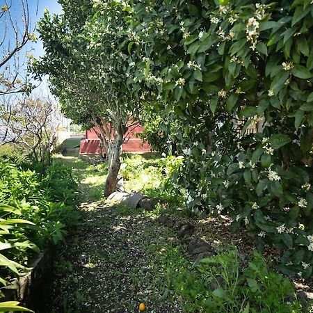 San Juan del Reparo Casa El Monteヴィラ エクステリア 写真