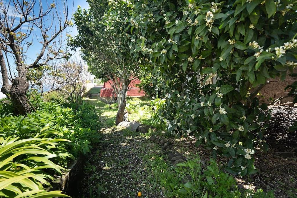 San Juan del Reparo Casa El Monteヴィラ エクステリア 写真